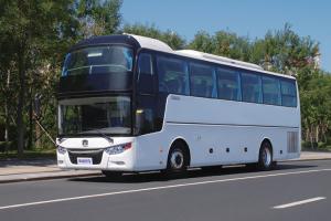 Автобусы Magnate